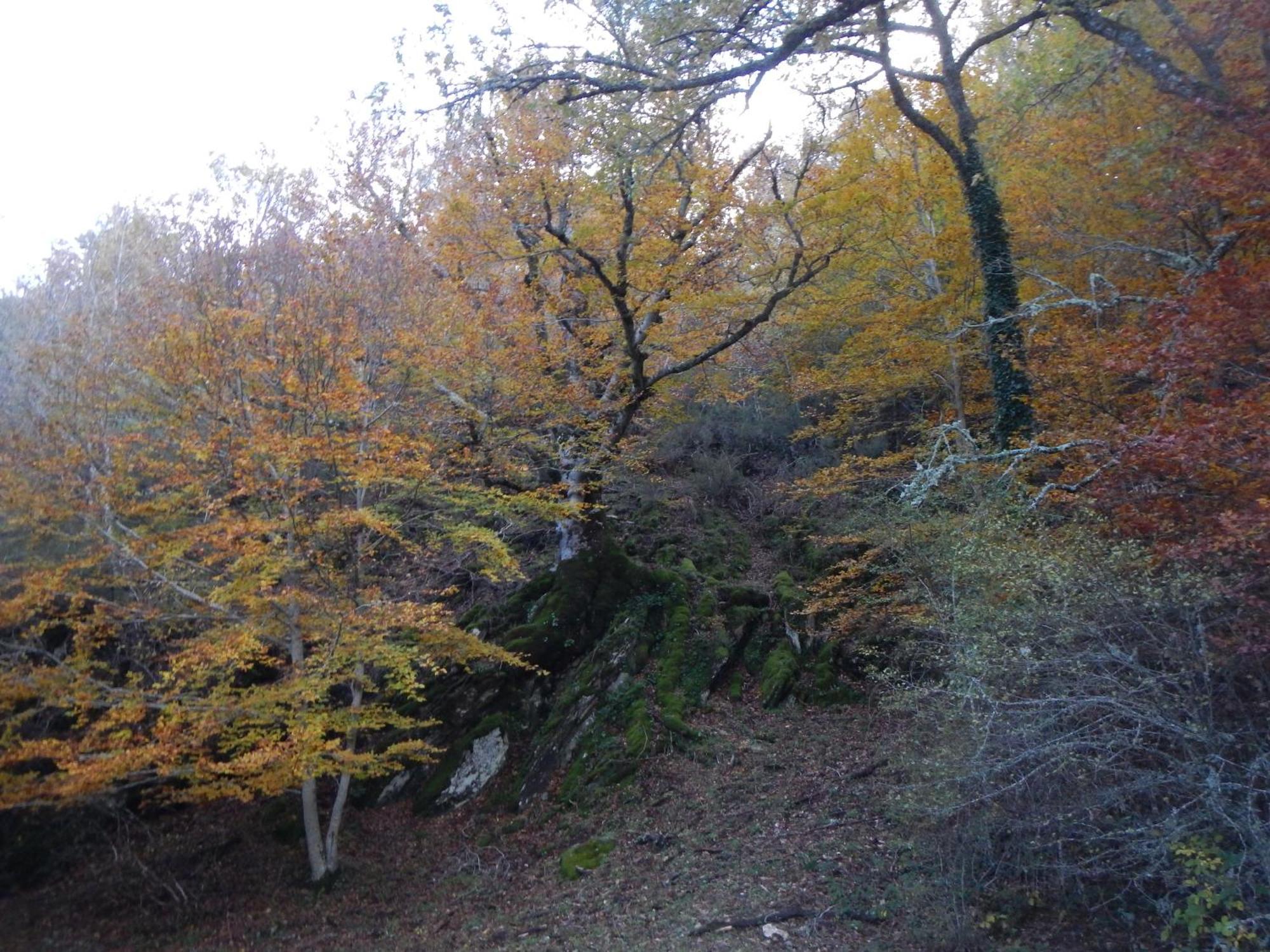 Alojamiento Rural Fuente Del Arca Pradena del Rincon 外观 照片