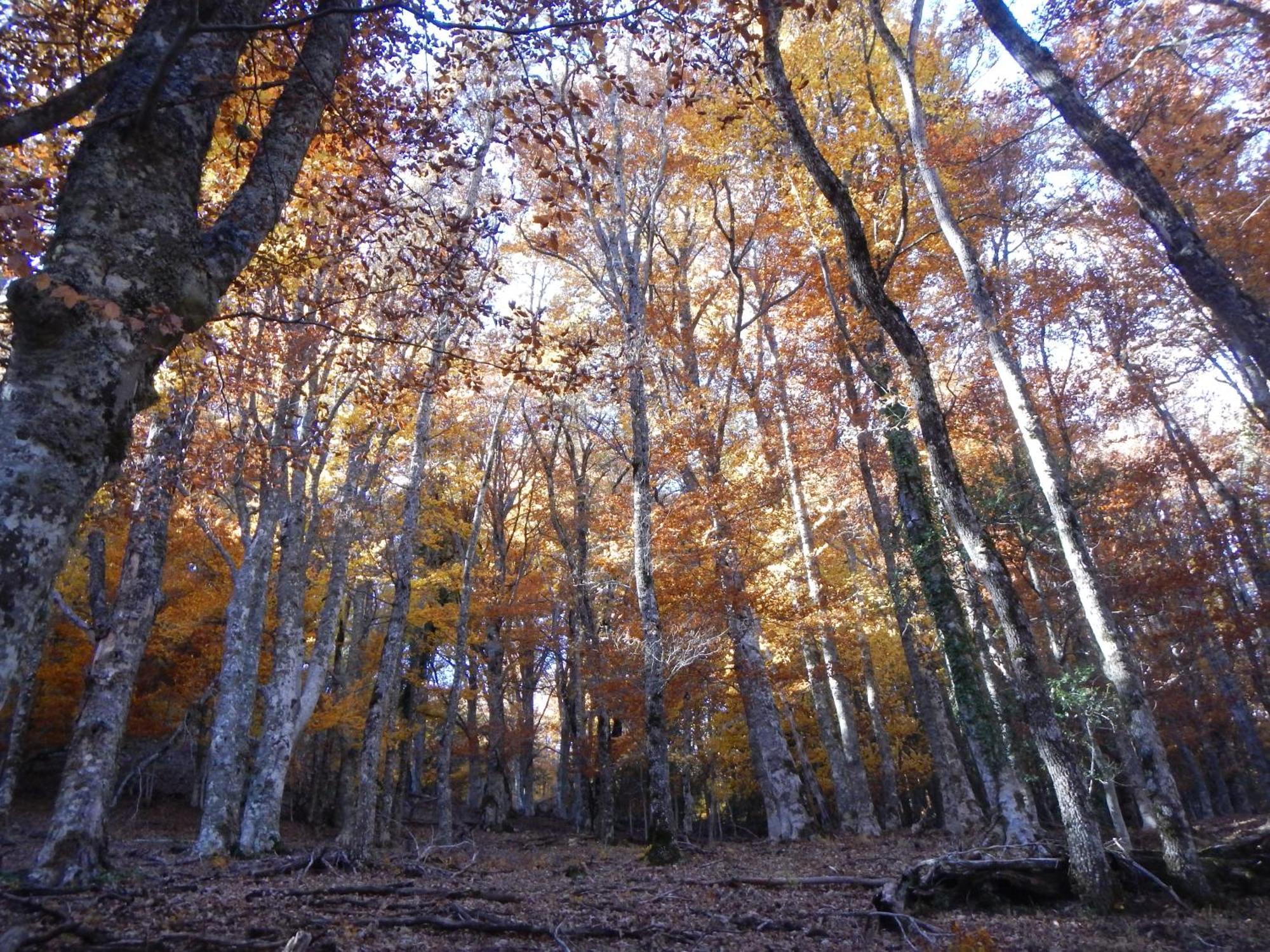 Alojamiento Rural Fuente Del Arca Pradena del Rincon 外观 照片